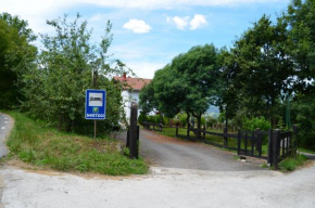 Отель Agroturismo Kostegi  Урньета